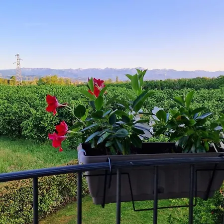 Claves'anna * Carrù