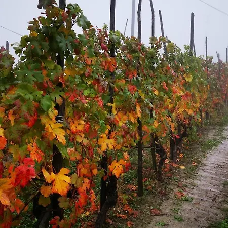 Apartament Claves'anna *