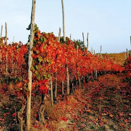 Claves'anna * Carrù